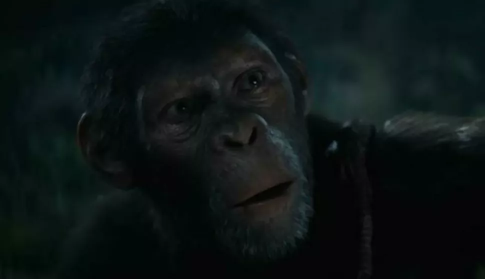 Planeta majmuna 2024