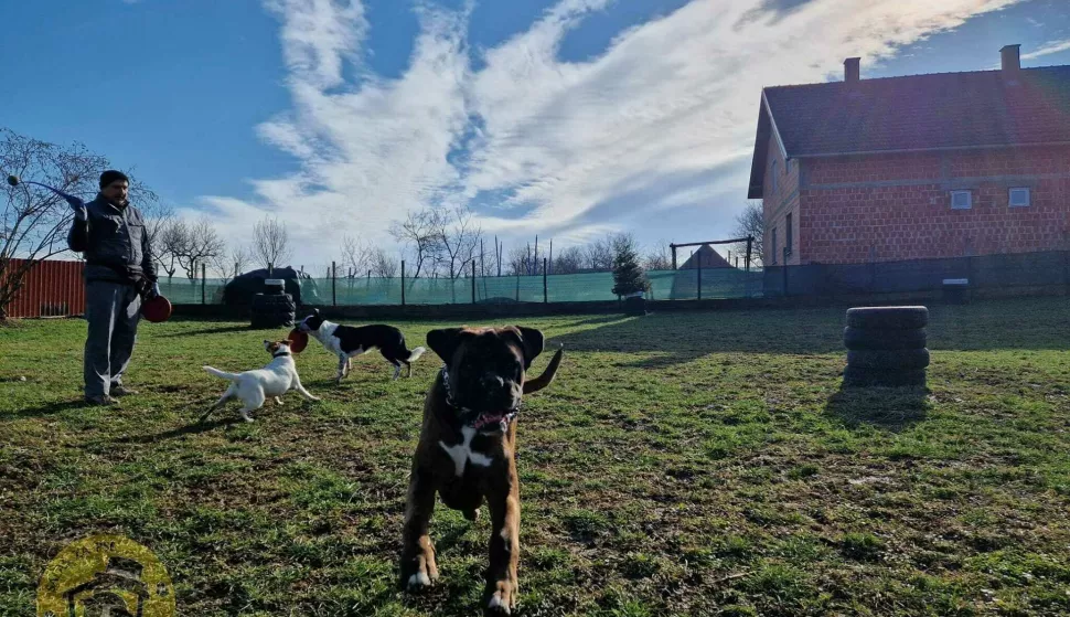 MARINCIRobert Janović je prije manje od godinu dana, kada je ostao bez posla, razmišljajući kako dalje, došao na ideju da uredi svoj dom i imanje u Marincima, na pola puta između Vinkovaca i Vukovara, u hotel za pse koji je nazvao, logično, Salaš za pse., travanj 2024.