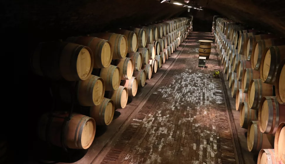 Fericanci, 24. 05. 2023, Nexe grupa d.d., predsjednik uprave i vlasnik Ivan Ergovic. Feravino, punionica, vinarija, kurija, Enosophia.snimio GOJKO MITIĆ