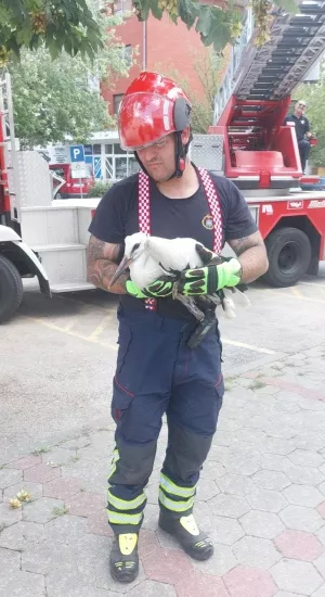 Petnaest roda i dvije sove život duguju vatrogascima