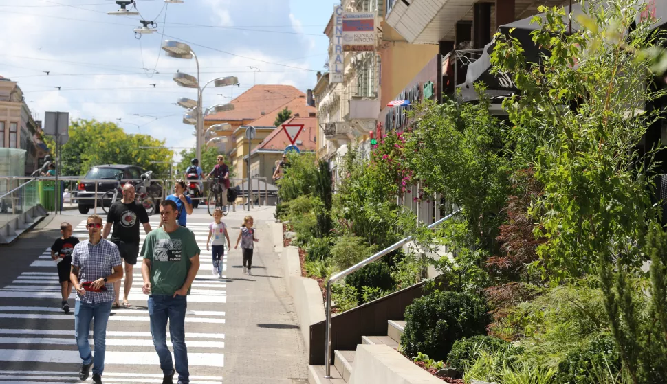 Osijek, 04. 07. 2024, Ribarska ulica, radovi na ozelenjavanju Ribarske, UNIKOM RJ zelenilo. Nakon uklanjanja dotrajale drvene konstrukcije ulica dobiva novu vizuru. Gotova Ribarska.snimio GOJKO MITIĆ