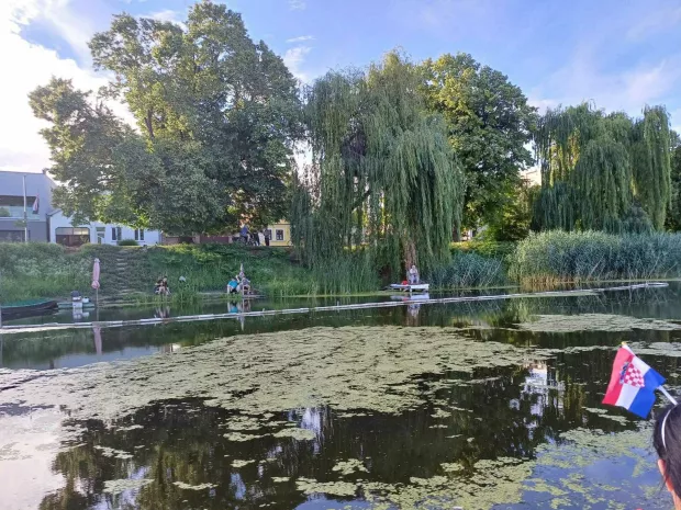 Veslačice su svaki drugi dan na Bosutu