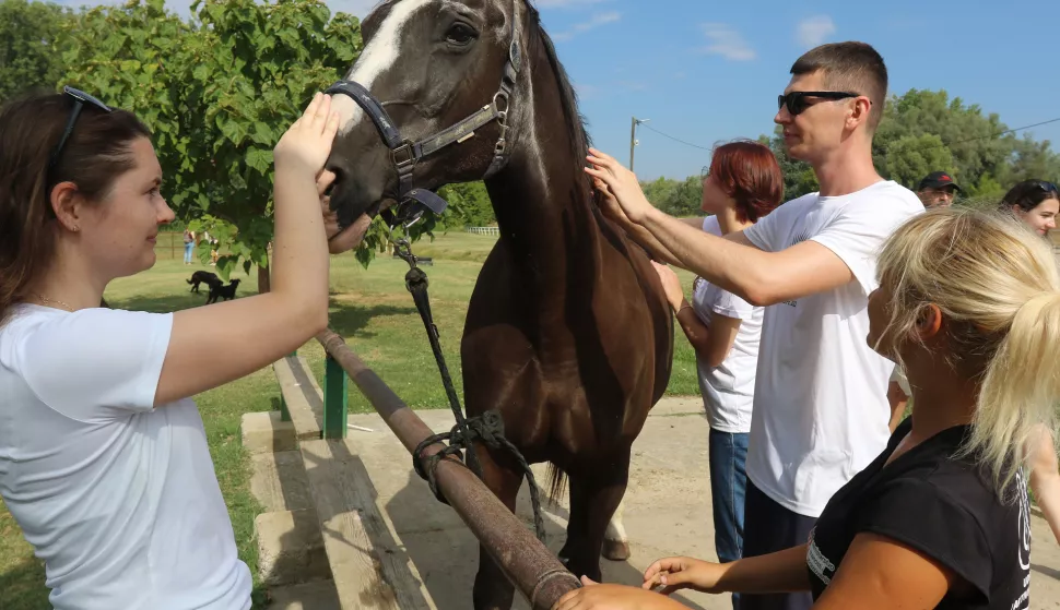 Osijek, 27. 07. 2022, Udruga za terapijsko jahanje MOGU sudjeluje u medjunarodnom programu MAGIS Europe 2022 susretu mladih katolika. Volonteri iz MAMIS-a u udruzi MOGU.snimio GOJKO MITIĆ