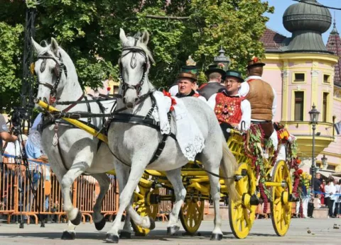 slavonija...vinkovci...20.09.2020.55. vinkovacke jeseni; zbog korona virusa svecani mimohod 55. vinkovackih jeseni samo uz ucesce kud-ova iz vukovarsko-srijemske zupanije, a ostali su predstavljeni na video zidu i na kraju konjske zaprege i konjanici bez velikog kola;foto Gordan Panić