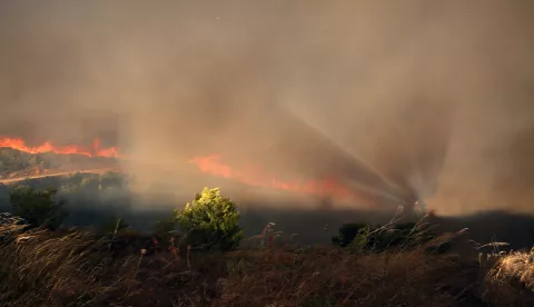 epa11545831 Thick smoke rises during a wildfire that broke out in an area of farmland and forest in Varnavas, Attica region, Greece, 11 August 2024. The forces working to extinguish the Varnavas fire include 250 firefighters with 10 teams of forest commandos, 67 vehicles and a large number of volunteers, 12 firefighting airplanes and seven helicopters in the air and one helicopter for coordination. Assistance is also being provided by digging machinery and water trucks of the Attica Region and the armed forces. Varnavas residents have been instructed to evacuate the area via a message from the 112 emergency number. EPA/ALEXANDROS BELTES