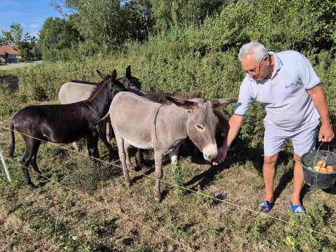 Otac Mile uglavnom se brine o magarcima