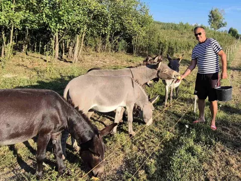 Kada zatreba, tu je i punac Željko