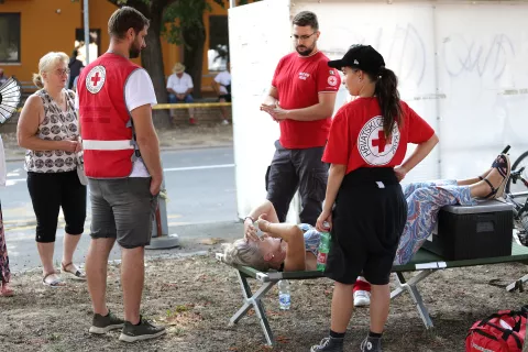 Aljmaš, 15. 08. 2024., Svetište Aljmaš, Velika Gospa, Aljmaš, Gospa od Aljmaša, gospa, detalji, totali, ilustracijeSNIMIO BRUNO JOBST