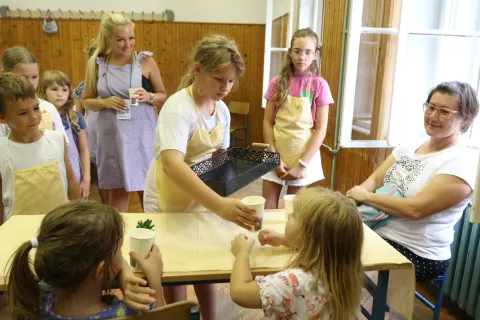 Osijek, 27. 08. 2024, Tvrđa, dvorište Kazamata, Ekonomska škola, Stara pekara, Dom tehnike, Trg Vatroslava Lisinksog, Zemlja bez granica, radionice, sportsak parlaonica...snimio GOJKO MITIĆ