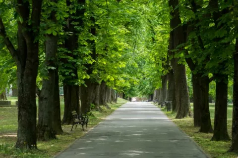 OSIJEK- 27.04.2020., Perivoj kralja Tomisalva, parkovi zelenilo, ljudi sve vise borave u parkovima i prirodi, zbog tople zime ima sve vise krpelja.Foto: Andrea Ilakovac