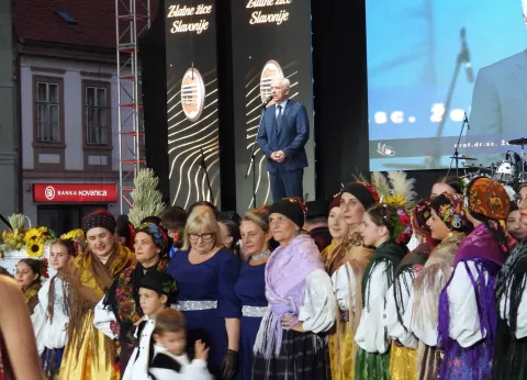 Festival Zlatne žice Slavonije 2024