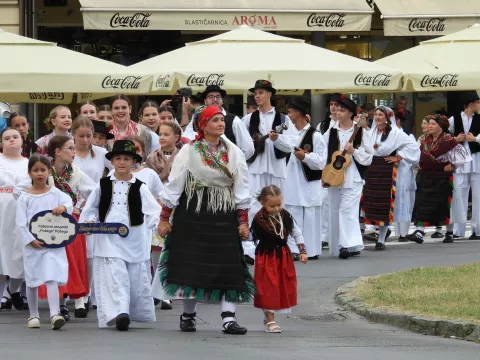 Festival Zlatne žice Slavonije 2024