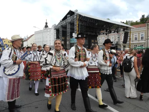 Festival Zlatne žice Slavonije 2024