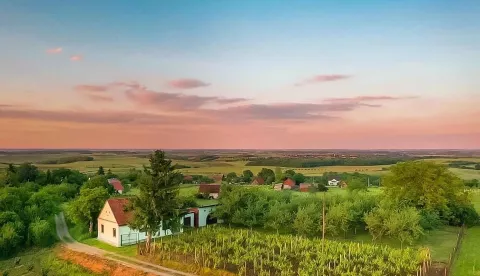 MANDIĆEVAC - Privatni smještaj Village Wine House Franjić2024.