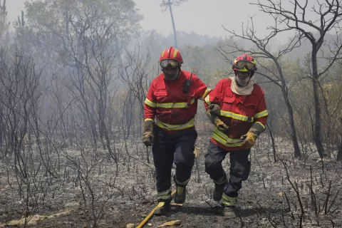 epa10061679 Firefighters work to battle the forest fires in Freixianda, Ourem, Portugal, 09 July 2022. Portugal on 08 July surpassed the highest number of wildfiers burning in 2022, the National Authority for Emergency and Civil Protection (ANEPC) announced. A total of 121 wildfires were announced burning so far, and the authority called on people to take special care in the face of the heat expected to become worsening. EPA/PAULO CUNHA