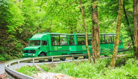 U Parku prirode Papuk uveli su atraktivnu novinu - turistički vlak koji od rujna vozi kroz Park-&scaron;umu Jankovac.RUJAN 2024.