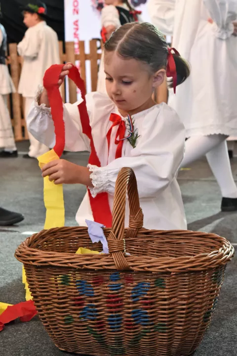 slavonija...Vinkovci...15.09.2024.59. Vinkovačke jeseni; zbog kiše otkazan mimohod dječjih Vinkovačkih jeseni, ali u velikom šatoru održana je međužupanijska smotra dječjih folklornih skupina; kud Rudar, Glogovac;foto Gordan Panić