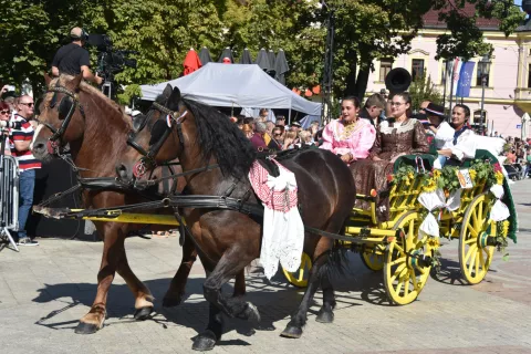 slavonija...Vinkovci...22.09.2024.59. Vinkovačke jeseni; svečani mimohod 70-tak KUD-ova, 30 zaprega i 60 konjanika;foto Gordan Panić