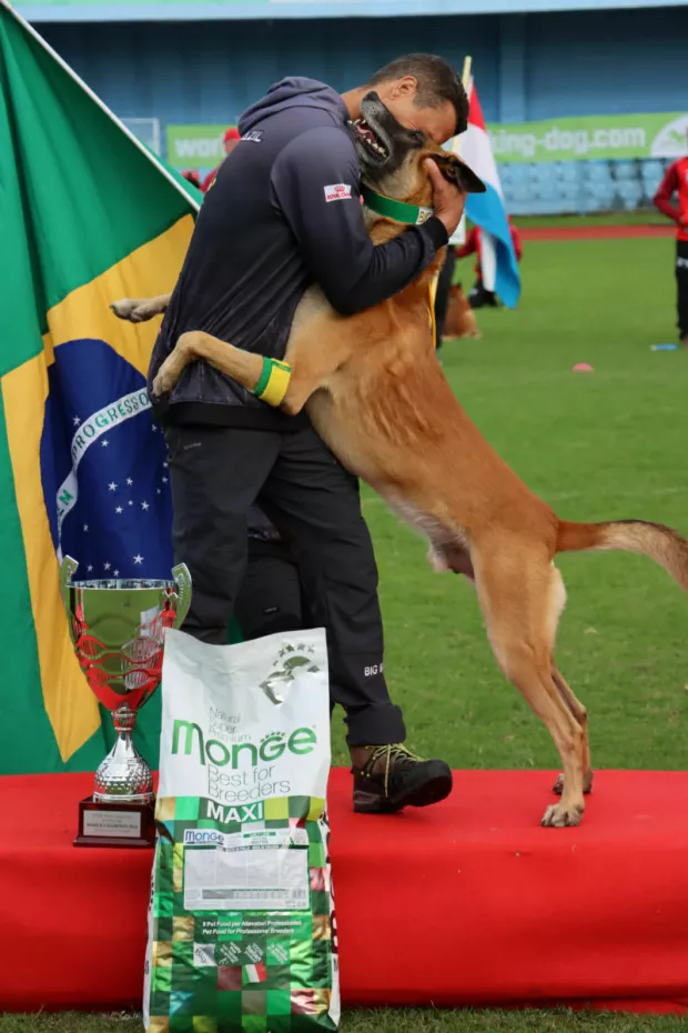 igp u vinkovcima