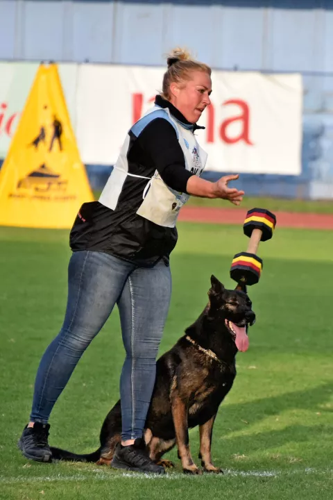 slavonija...Vinkovci...26.09.2024.stadion HNK Cibalia; FCI-IGP Svjetsko prvenstvo za radne pse;foto Gordan Panić