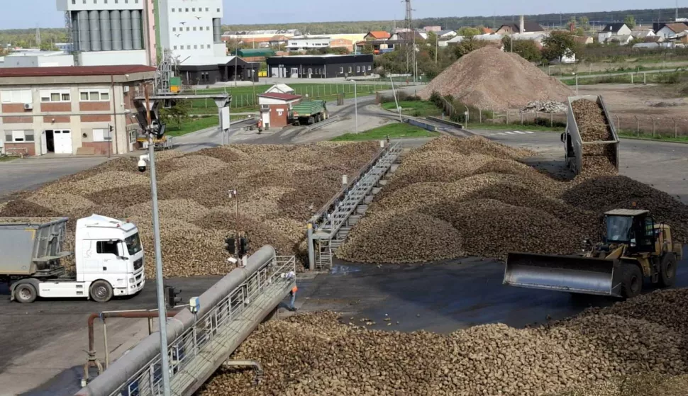 Uzeti su uzorci dopremljene repe iz svih kamiona, listopad 2024.ustupljena fotografija