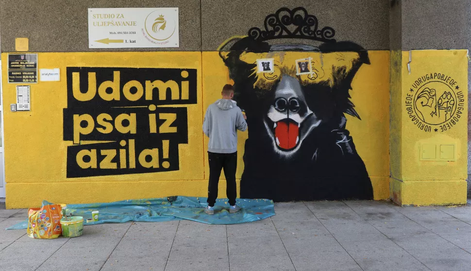 Osijek, 30. 10. 2024, Prolaz između Trga slobode i Vijenca Paje Kolarića. Novi mural u nastajanju Udruga Pobjede, Azil. Udomi psa iz azila. Slobodnjak.snimio GOJKO MITIĆ