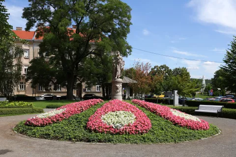 Osijek, 05. 06. 2024., Sakuntala, hortikultura, cvijece, zelenilo, parkovi, UNIKOMSNIMIO BRUNO JOBST