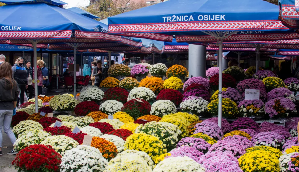 OSIJEK- 31.10.2020., Glavna tržnica, prodaja cvijeća ususret blagdanu Svi sveti, cvijeće za groblja.Foto: Andrea Ilakovac