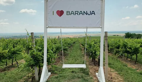 baranja turizam vinograd