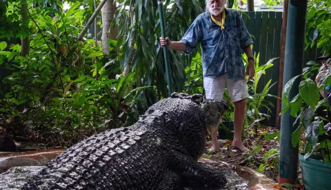 epa11696891 (FILE) - Green Island Marineland Melanesia's George Craig stands with Cassius the crocodile at the Marineland Melanesia on Green Island, Queensland, Australia, 18 March 2023 (issued 02 November 2024). Cassius, the Guinness Book of Records largest crocodile in captivity, died at Green Island's Marineland Melanesia on 01 November. EPA/BRIAN CASSEY AUSTRALIA AND NEW ZEALAND OUT