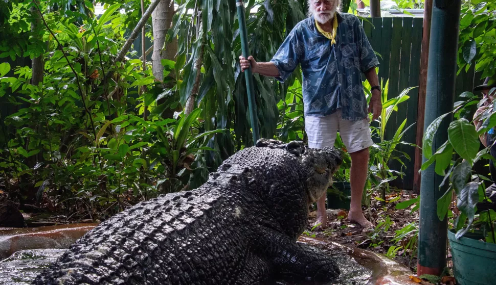 epa11696891 (FILE) - Green Island Marineland Melanesia's George Craig stands with Cassius the crocodile at the Marineland Melanesia on Green Island, Queensland, Australia, 18 March 2023 (issued 02 November 2024). Cassius, the Guinness Book of Records largest crocodile in captivity, died at Green Island's Marineland Melanesia on 01 November. EPA/BRIAN CASSEY AUSTRALIA AND NEW ZEALAND OUT