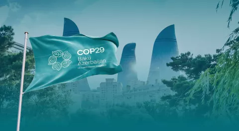 MAGAZIN COP29COP29: Azerbaijan Focusses on Environmental Protection and Global Peace Efforts