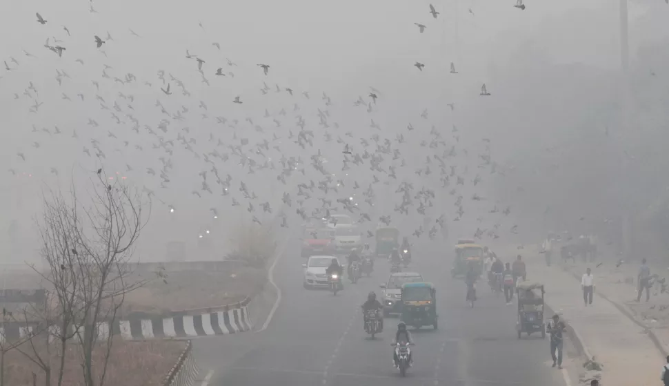 epa11717657 Vehicles move on a road as the city is covered in smog in New Delhi, India, 13 November 2024. According to the Central Pollution Control Board the National Capital Region's Air Quality Index (AQI) continues to label New Delhi in the 'very poor' category and also some parts of Delhi's air quality index was in the 'Severe' category breaching the 400 mark. EPA/RAJAT GUPTA