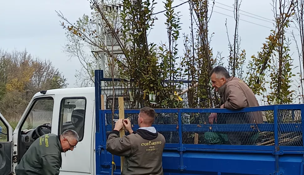 VINKOVCIArheološki park Sopot dobio 10 javorastudeni 2024.