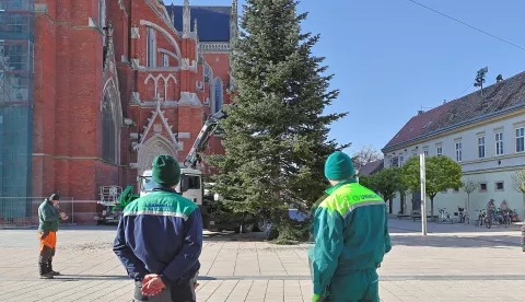 Osijek, 21. 11. 2024., Trg Ivana Pavla ll, konkatedrala, božićno drvce, postavljanje, UNIKOM SNIMIO BRUNO JOBST