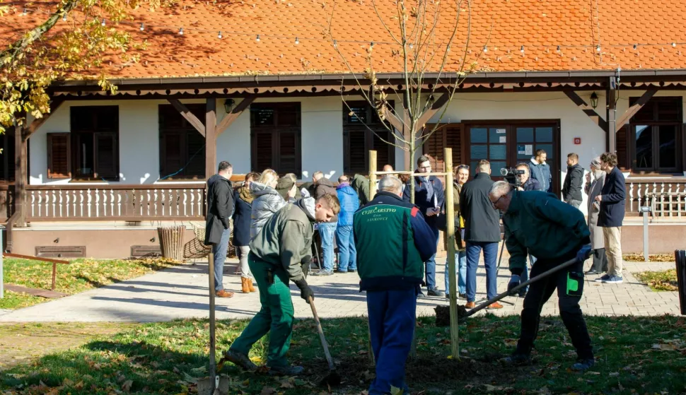 Kroz projekt Od izvora do mora, u Vinkovcima posađemno 80 mladica raznih stabalaSTUDENI 2024.