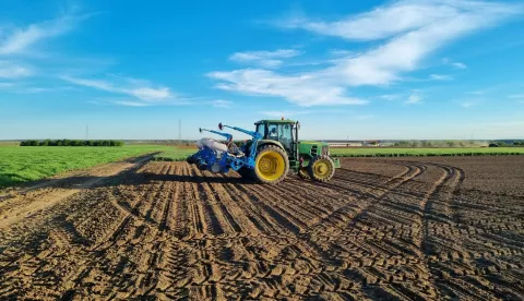 BARANJA - SJETVA KUKURUZA, TRAVANJ 2024.POLJE, NJIVA, ZEMLJA, ORANICA