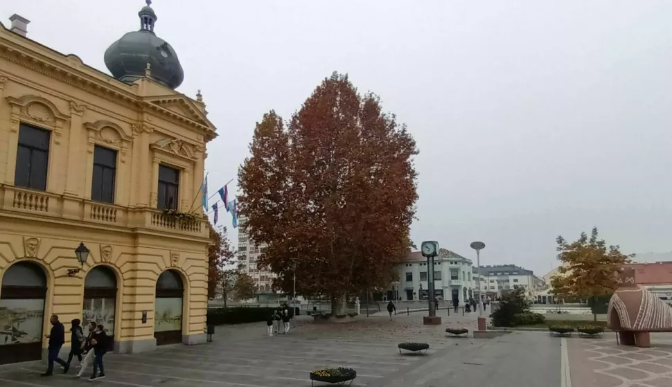 Središte Vukovara; Radnički dom, Trg RH, pješačka zona