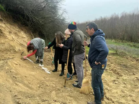 Započelo terensko istraživanje Mohova koje provode istraživači iz Hrvatskog prirodoslovnog muzeja i Muzeja Brodskog Posavlja