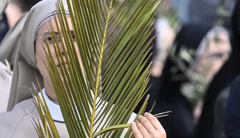 epa11240755 A nun with palm frond attends the Holy Mass of Palm Sunday in Saint Peter's Square, Vatican City, 24 March 2024. Palm Sunday is the biblical account of Jesus Christ's entry into Jerusalem, which ushers in Holy Week and Lent. EPA/RICCARDO ANTIMIANI