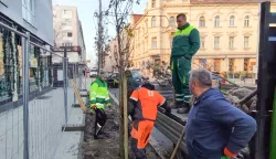 U proteklih tjedan dana Osijek ozelenjen dodatnim 351 stablom