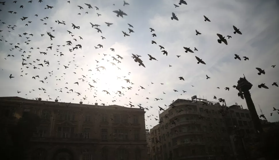 epa11765536 Birds fly over Marjeh Square after Syrian rebels took over the capital, in Damascus, Syria, 08 December 2024. Syrian rebels entered Damascus on 08 December 2024 and announced in a televised statement the 'Liberation of the city of Damascus and the overthrow of Bashar al-Assad', as well as the release of all the prisoners. The rebels also urged the Syrian armed forces to leave Syrian public institutions, which will stay under the control of the outgoing Syrian prime minister until the official handover ceremony. EPA/BILAL AL HAMMOUD