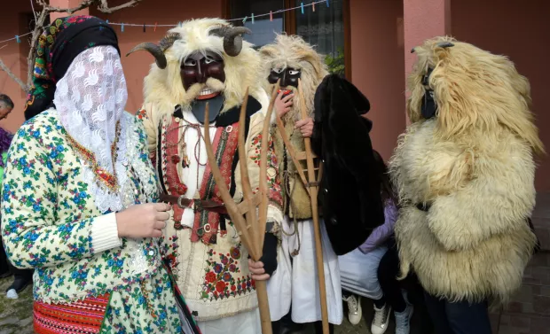 Petarani žele graditi Kuću baranjskih bu&scaron;a
