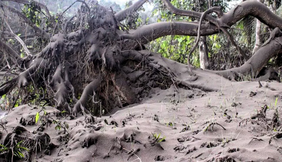 epa06912972 A handout photo made available by the Vanuatu Red Cross Society on 27 July 2018 shows volcanic ash on Ambae Island, Vanuatu, 21 July 2018. Thick volcanic ash billowing across the Vanuatuan island of Ambae has prompted the evacuation of its entire population to nearby islands. According to the Vanuatu Meteorology and Geo-hazards Department, a Volcanic Alert of level three was in place for Manaro Voui volcano. The volcano's most recent eruptions occurred between February and April 2018. EPA/VANUATU RED CROSS HANDOUT -- BEST QUALITY AVAILABLE -- AUSTRALIA AND NEW ZEALAND OUT HANDOUT EDITORIAL USE ONLY/NO SALES