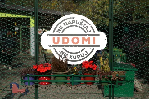Nemetin, 06. 11. 2024., Azil, Udruga pobjede, oporavilište za pse, Ivan Radić - gradonačelnik, obilazakSNIMIO BRUNO JOBST