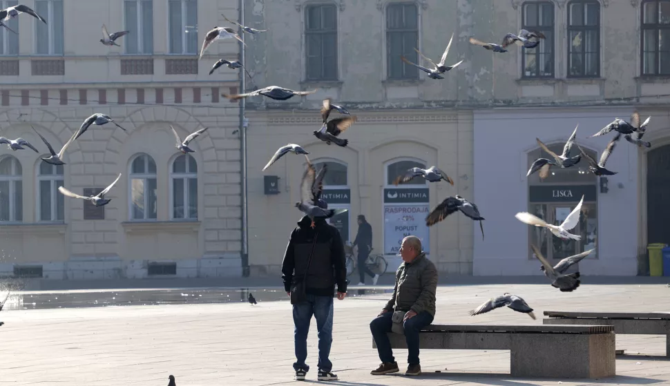 Osijek, 22. 10. 2024., Trg A. Starčevića, hladno jutro, hranjenje golubova, golubovi, golub, umirovljenik, slobodnjak, slobodnjaciSNIMIO BRUNO JOBST