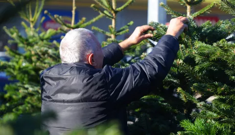 Osijek, 17. 12. 2024, Kaufland, prodaja božićnih jelki, prodaja, božićne jelke, cijena, ponuda SNIMIO BRUNO JOBST