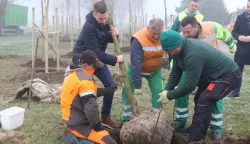 Osijek, 31. 12. 2024, Igralište kod Zoo-a, sadnja posljednjeg stabla u okviru projekta ozelenjavanja. Gradonačelnik Ivan Radićsnimio GOJKO MITIĆ