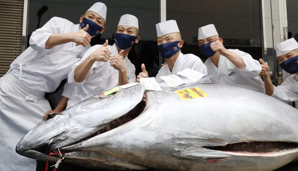 epa08919587 Staff members pose before the auctioned tuna at a restaurant in Ginza, after the first auction for the year of Toyosu Market in Tokyo, Japan, 05 January 2021. Wholesaler Yamayuki bid for the first tuna during the New Year 2021 auction reached 202,100 USD for a bluefin tuna, an amount far lower than previous years as the restaurant industry struggles under the coronavirus pandemic restrictions. EPA/JIJI PRESS JAPAN OUT EDITORIAL USE ONLY/ NO ARCHIVES NO ARCHIVES NO ARCHIVES