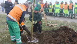 Osijek, 31. 12. 2024, Igralište kod Zoo-a, sadnja posljednjeg stabla u okviru projekta ozelenjavanja. Gradonačelnik Ivan Radićsnimio GOJKO MITIĆ